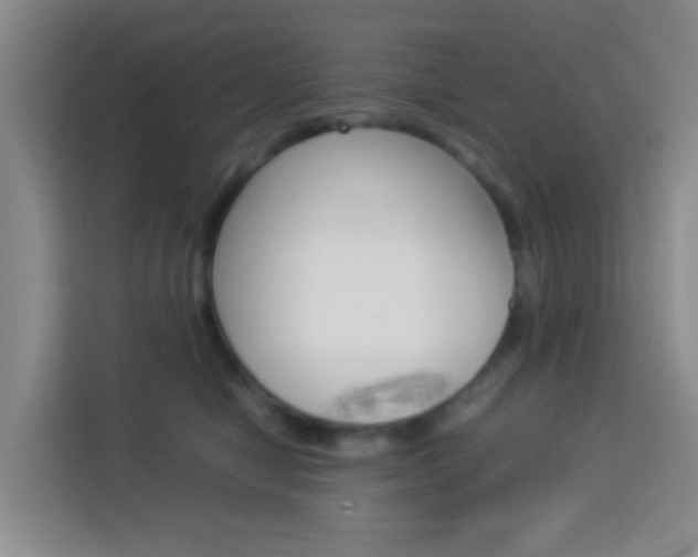 X0000114060470200910050959