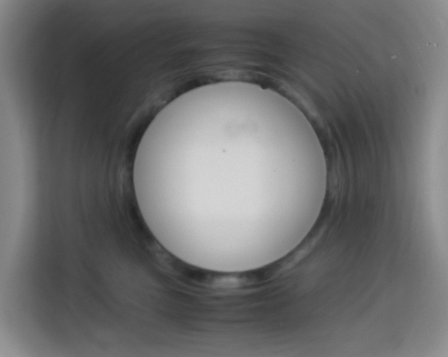 X0000114060473200910050959