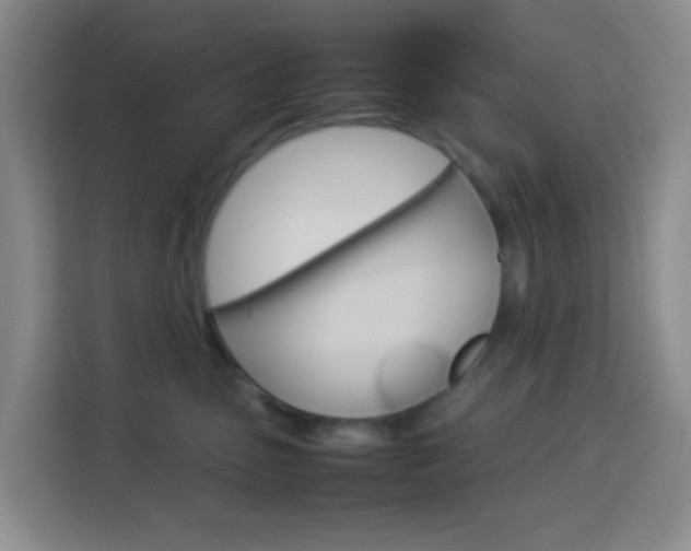 X0000114060475200910050959