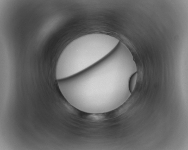X0000114060477200910050959