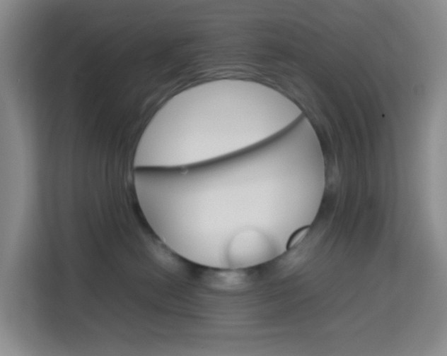 X0000114060478200910050959