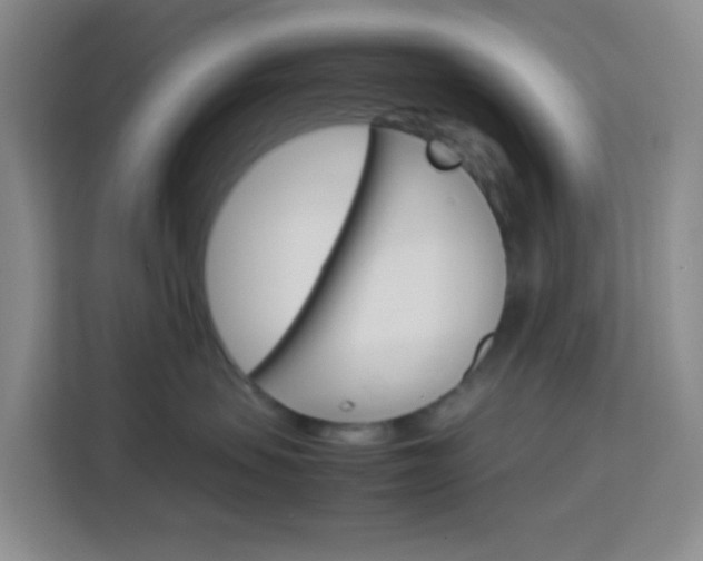 X0000114060479200910050959