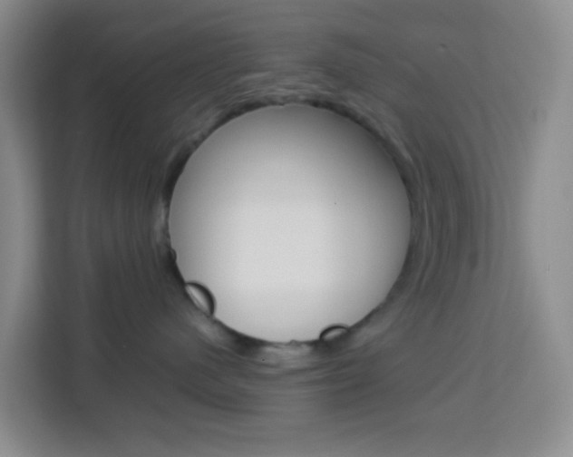X0000114060480200910050959