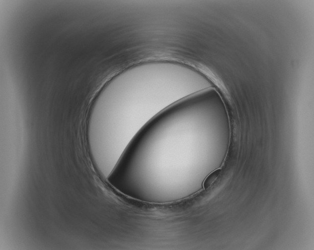X0000114060481200910050958
