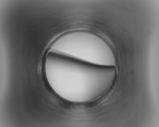 X0000114060483200910050958