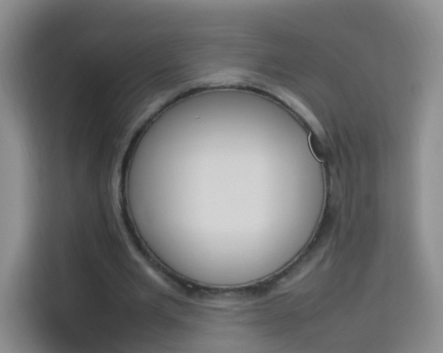 X0000114060485200910050958