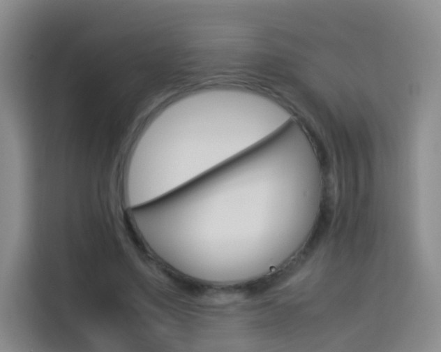 X0000114060491200910050958