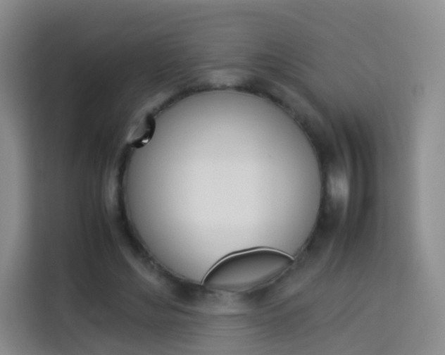 X0000114060492200910050958