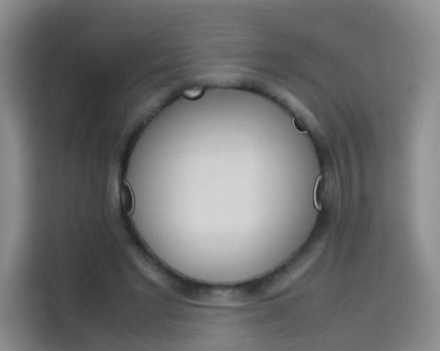 X0000114060493200910050958
