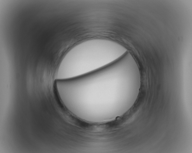 X0000114060495200910050958