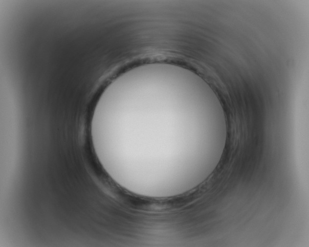 X0000114060496200910050958