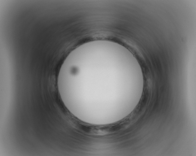 X0000114060498200910050958