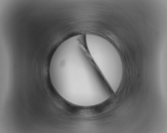 X0000114060499200910050958