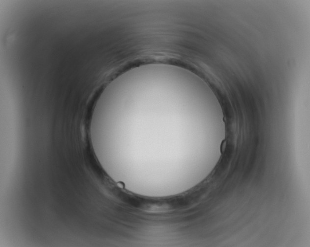 X0000114060500200910050958