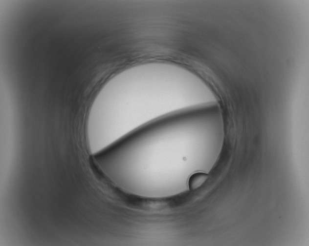 X0000114060501200910050958