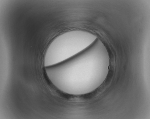 X0000114060503200910050958