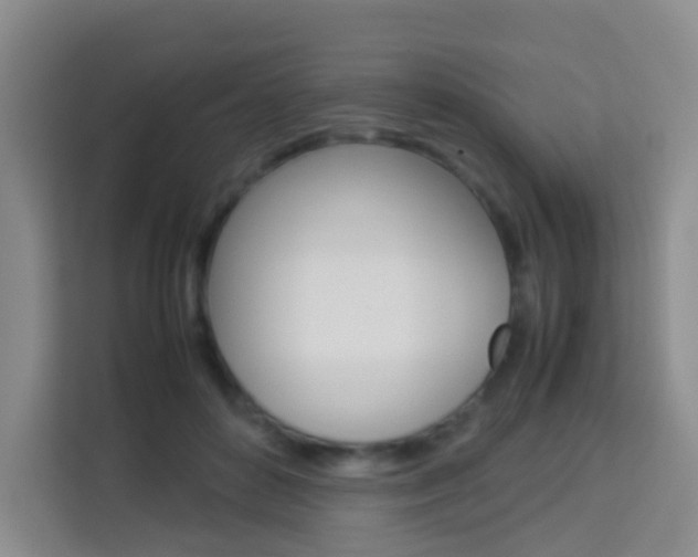 X0000114060504200910050958