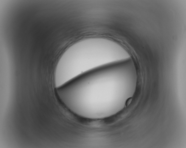X0000114060505200910050958