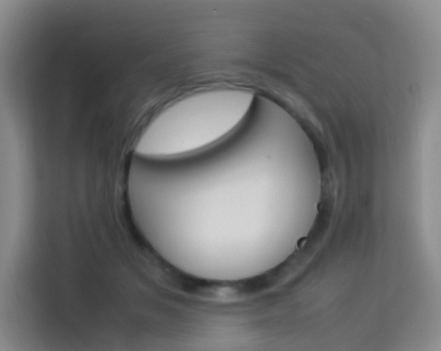 X0000114060509200910050958