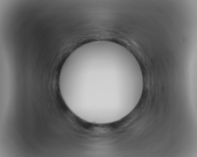 X0000114060515200910050958