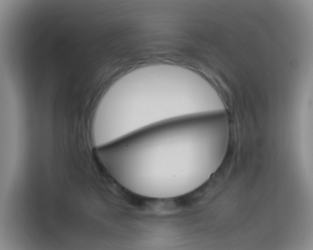 X0000114060517200910050958