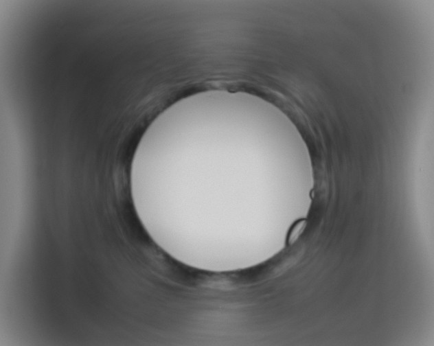 X0000114060523200910050958