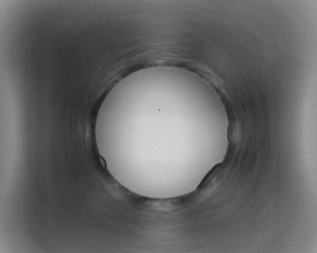 X0000114060524200910050958