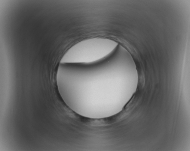 X0000114060525200910050958