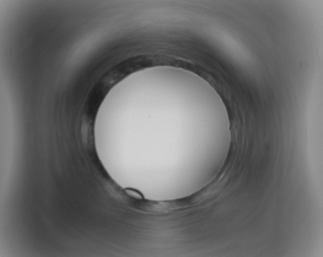 X0000114060527200910050958