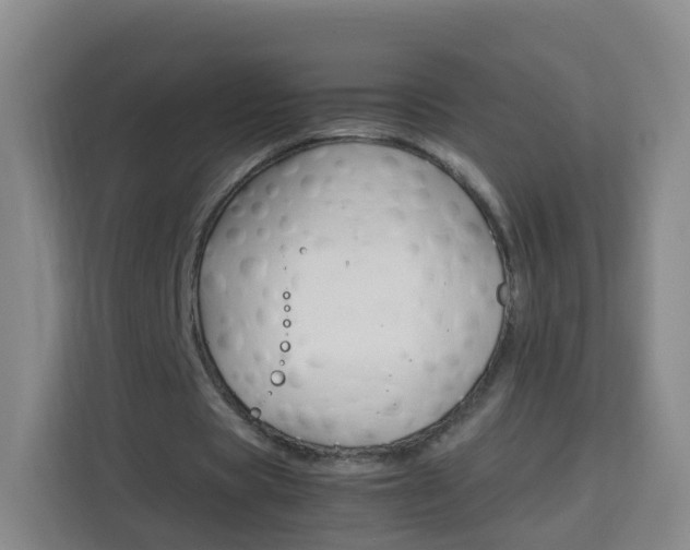 X0000114060529200910050957