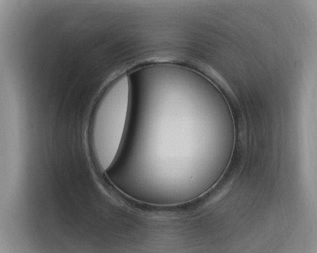 X0000114060530200910050957