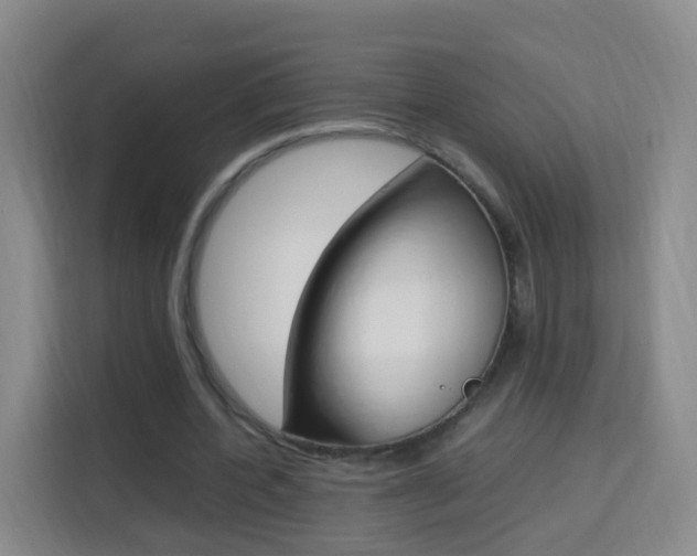 X0000114060532200910050957