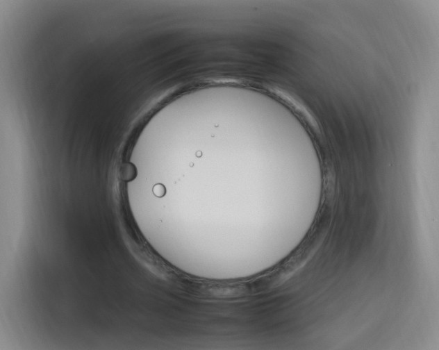 X0000114060533200910050957