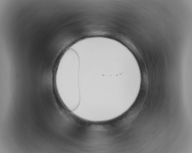 X0000114060534200910050957