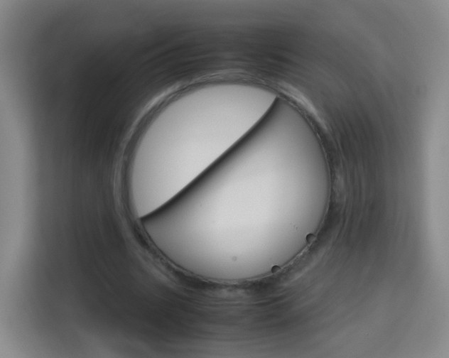 X0000114060535200910050957