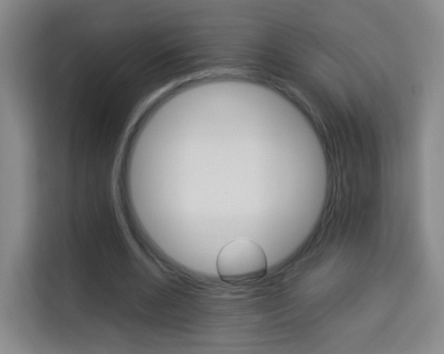 X0000114060536200910050957