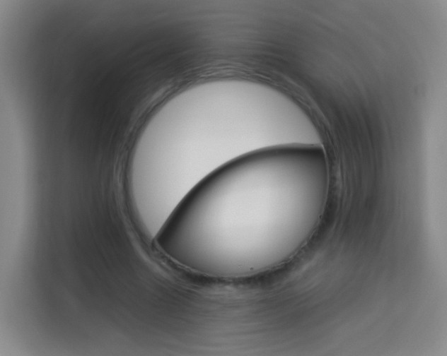 X0000114060538200910050957