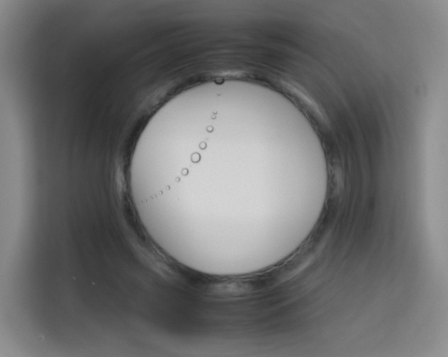 X0000114060541200910050957