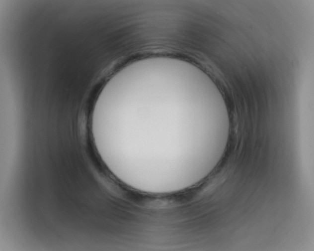 X0000114060542200910050957