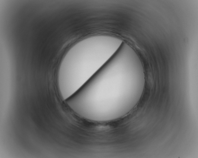 X0000114060543200910050957