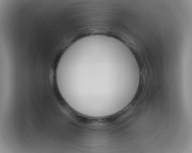 X0000114060550200910050957