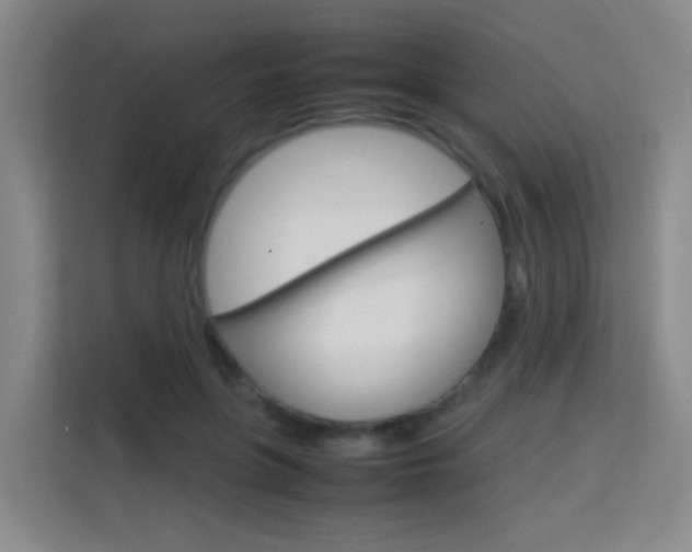 X0000114060551200910050957