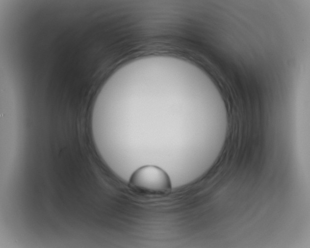 X0000114060552200910050957