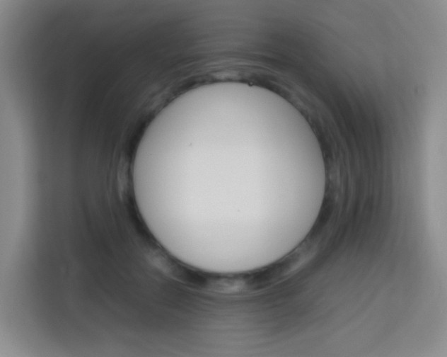 X0000114060554200910050957
