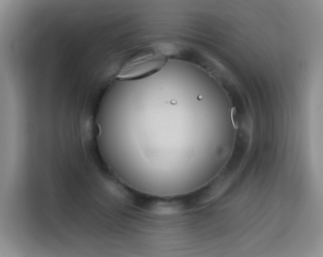 X0000114060556200910050957