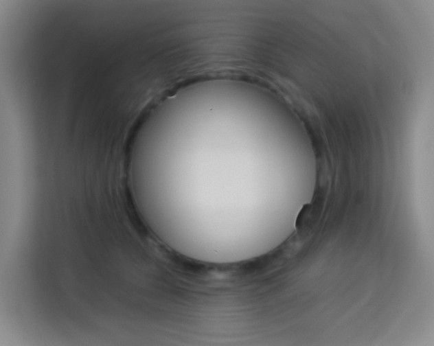 X0000114060560200910050957