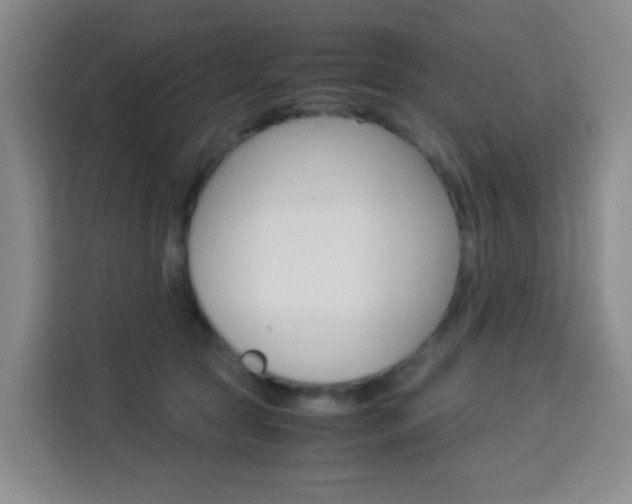 X0000114060561200910050958