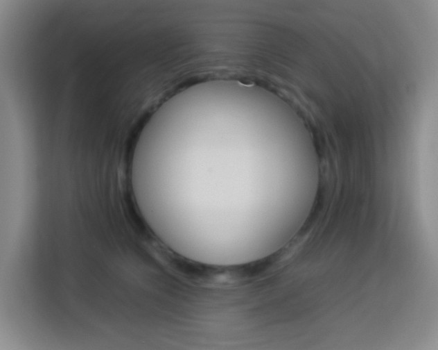 X0000114060564200910050958