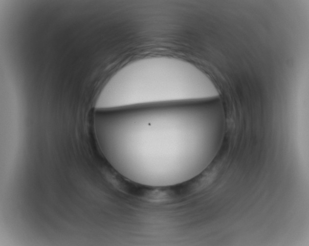 X0000114060566200910050958