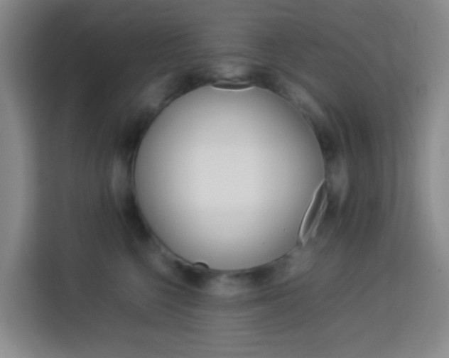 X0000114060568200910050958